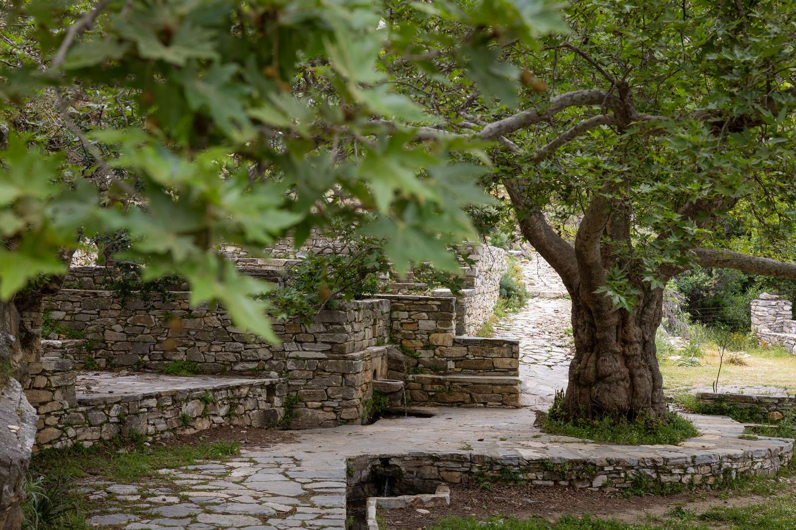 Cave of Zeus
